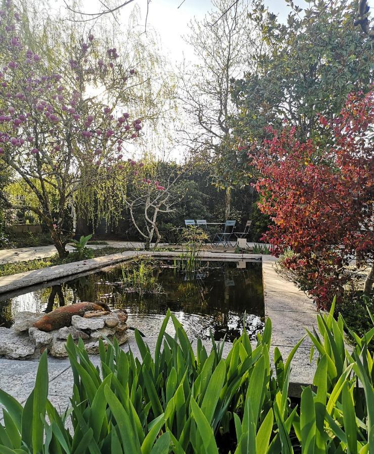 Aux Champes Bed & Breakfast Saussignac Ngoại thất bức ảnh